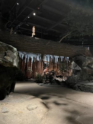 Mashantucket Pequot Museum & Research Center by null