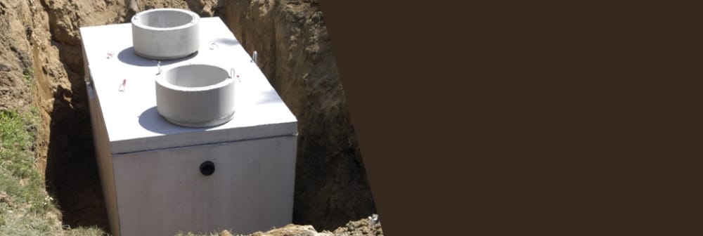 Slide of Eric Davidson & Associates