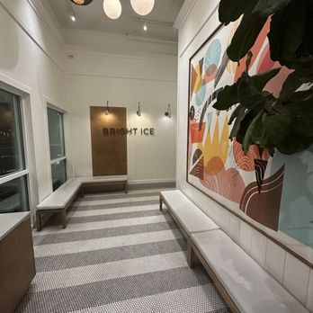 Bright Ice - Ice Cream & Frozen Yogurt Near Me - Tampa Bay, Florida