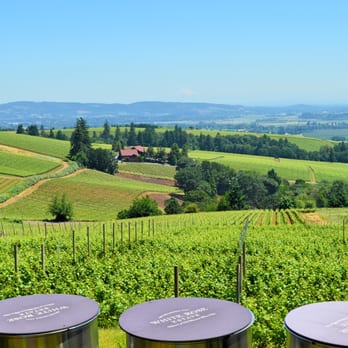 Higher Cellar - Wine Tours Near Me