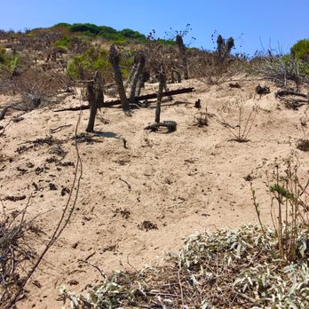 Point Dume State Beach - Lingering evidence of the ferocious wild fires ravishing Malibu last year. - Beaches Near Me - Malibu, California