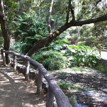 Fern Dell - Hiking Near Me - Los Angeles, California Fern Dell - Hiking Near Me - Los Angeles, California