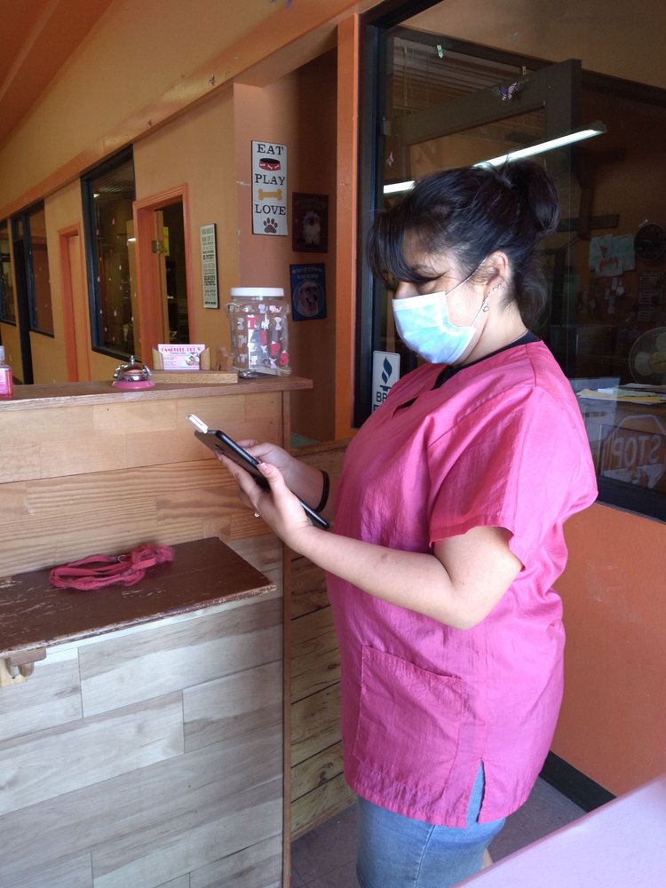 PAMPERED PET GROOMING SALON Updated August 2024 13 Photos & 16