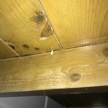 Semper Solaris - 12/15/18 while cleaning my wife noticed wood particles on the coffee table and I found another hole. I stuck Q-tip for a better visual. - Solar Installation Near Me - Hayward, California