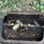 Photo of SafeTex Backflow Testing