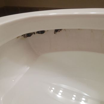 La Quinta Inn by Wyndham - View of the toilet from my daughter's bath. Toilet was gross, bathroom was stocked with enough toilet paper for one person to pee. - Hotels Near Me - Lincoln, Nebraska