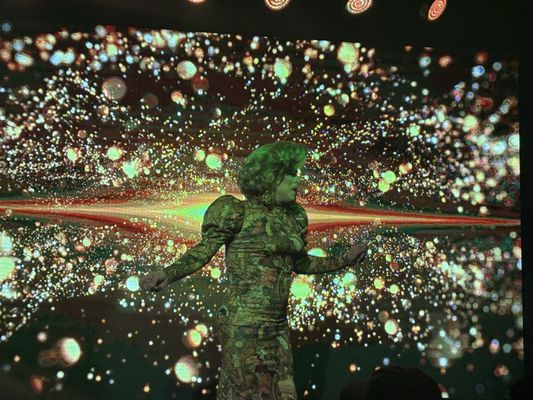 Roxy’s Cabaret by null