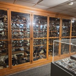 North Museum of Natural History