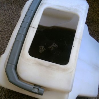 Five Diamond Carpet Cleaning - Carpet Cleaning Near Me Five Diamond Carpet Cleaning - Carpet Cleaning Near Me