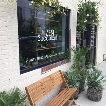 The ZEN Succulent - Home Decor Near Me - Durham, North Carolina The ZEN Succulent - Home Decor Near Me - Durham, North Carolina