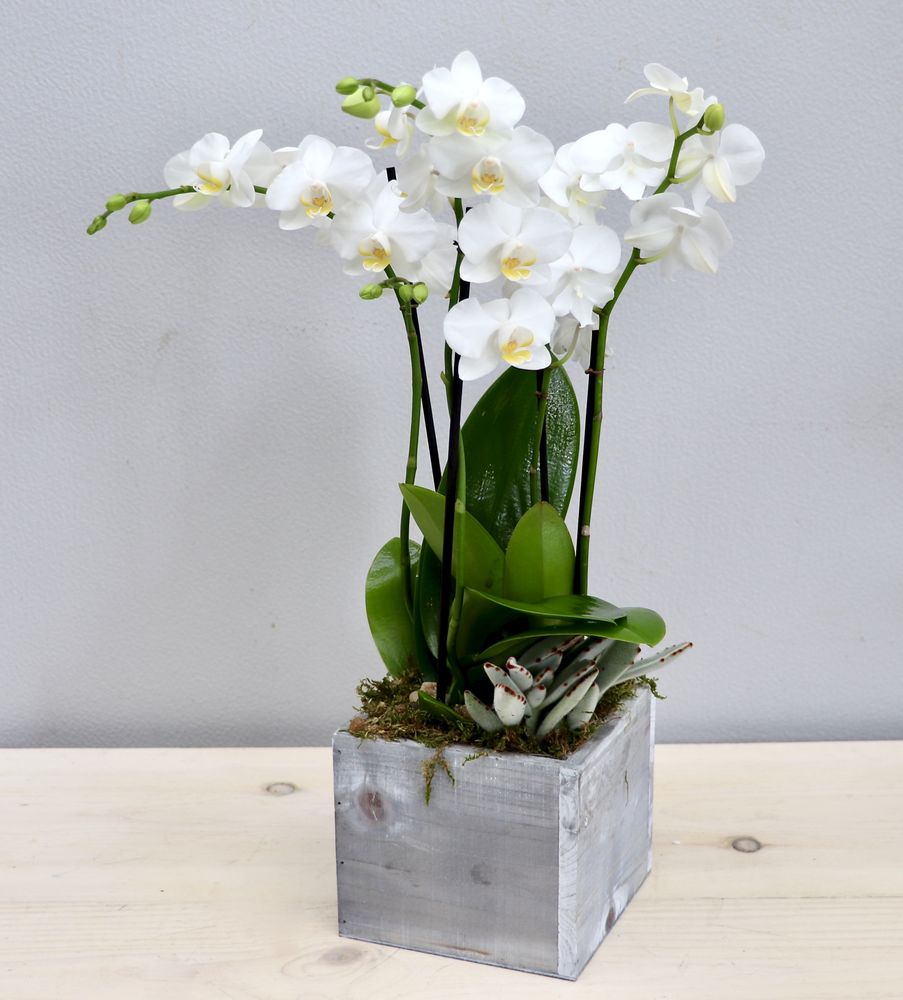 THE LA FLORIST Updated July 2024 Request Information 139 Photos