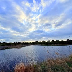 Back Bay National Wildlife Refuge