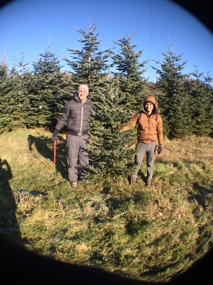 RONNEI CHRISTMAS TREE FARM Updated September 2024 11210 Carnation