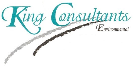 King Consultants