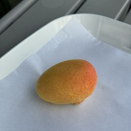 mango mango