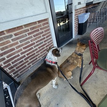 La Panadería Bakery Café - Waiting patiently - Breakfast & Brunch Near Me - San Antonio, Texas La Panadería Bakery Café - Waiting patiently - Breakfast & Brunch Near Me - San Antonio, Texas