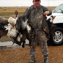 Show Me Snow Geese - White Fronted goose hunting in southeast Missouri