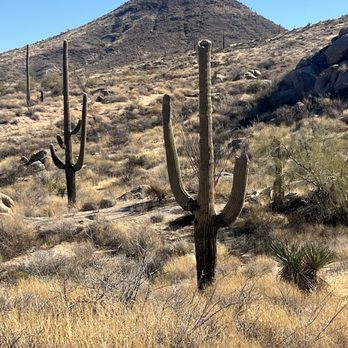Brown's Ranch Trailhead - Hiking Near Me - Scottsdale, Arizona