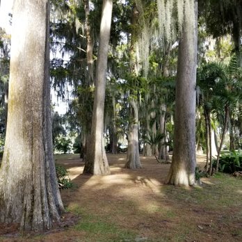 Kraft Azalea Garden - Lots of shade here. Great coverage on a sunny Florida day. - Parks Near Me - Winter Park, Florida Kraft Azalea Garden - Lots of shade here. Great coverage on a sunny Florida day. - Parks Near Me - Winter Park, Florida