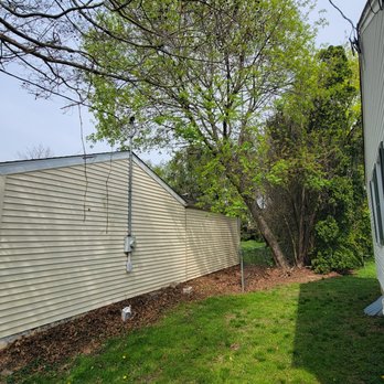 Golden Tree Service - Tree over neighbor's house - Tree Services Near Me Golden Tree Service - Tree over neighbor's house - Tree Services Near Me