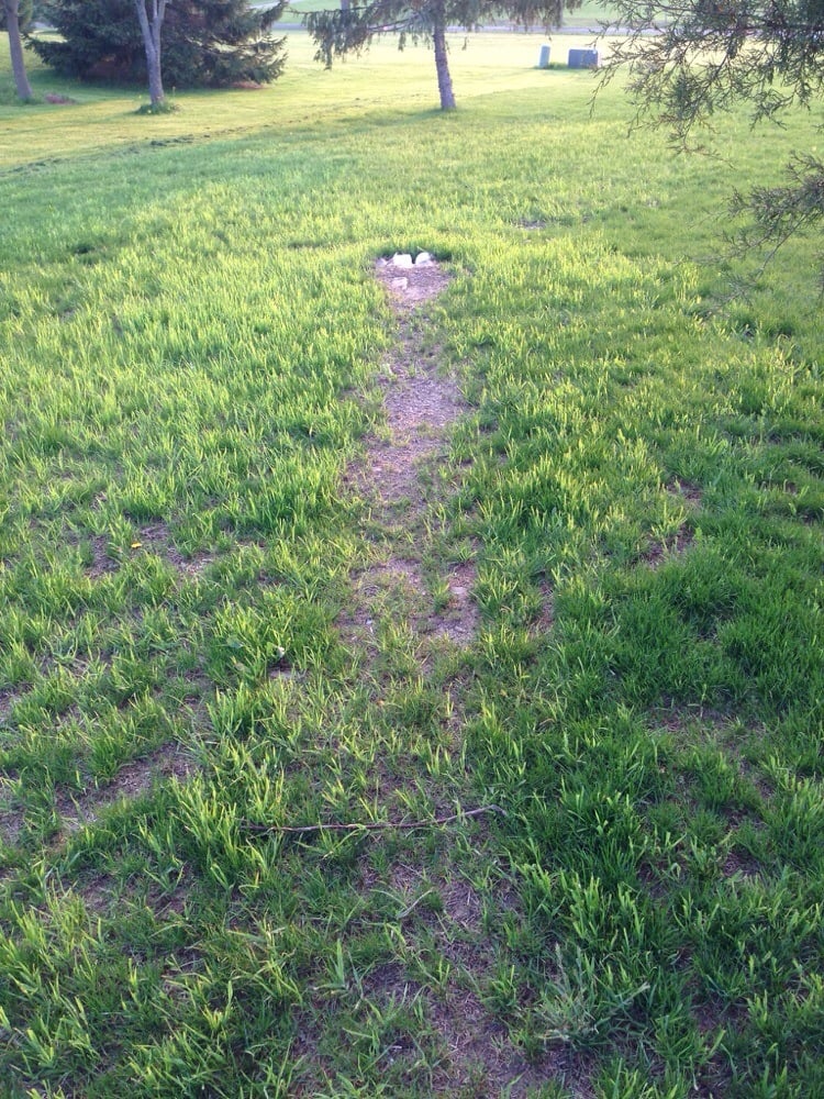 FAIRFIELD LANDSCAPING Updated September 2024 285 Carrolls Tract Rd