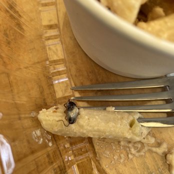 Baker's Crust - A bug in the pasta salad. - Breakfast & Brunch Near Me - Richmond, Virginia Baker's Crust - A bug in the pasta salad. - Breakfast & Brunch Near Me - Richmond, Virginia