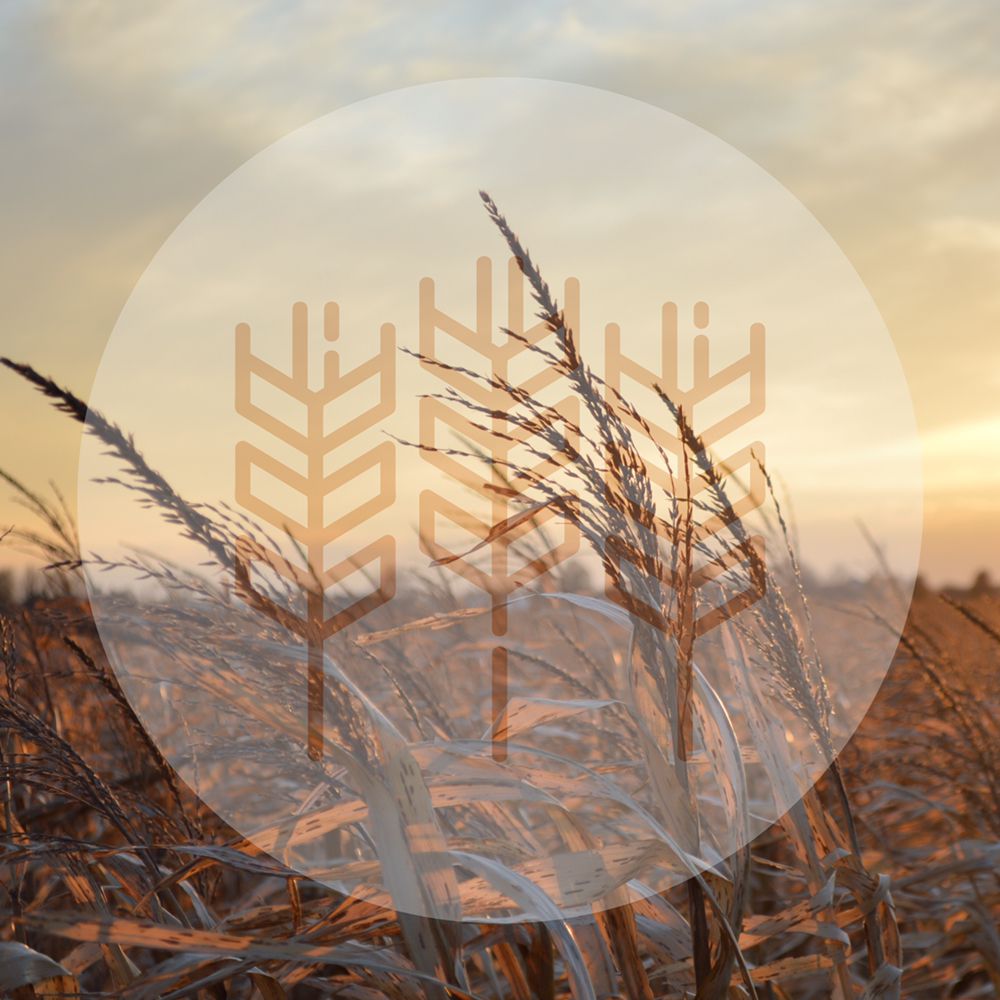 The Harvest Health And Safety - safety consultant in Coarsegold, CA