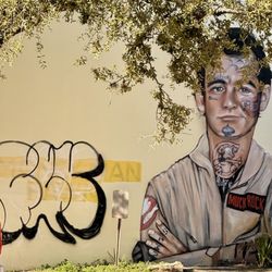City of Charleston - Mural art