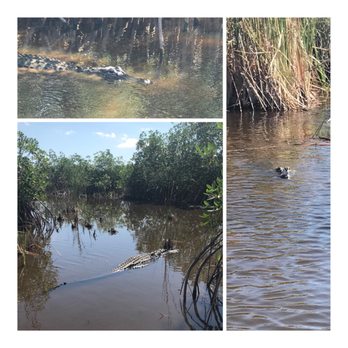 Captain Mitch's Airboat Tours - Boat Tours Near Me - Naples, Florida Captain Mitch's Airboat Tours - Boat Tours Near Me - Naples, Florida