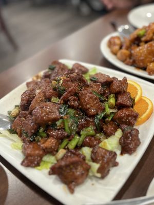 Golden Pheasant by null