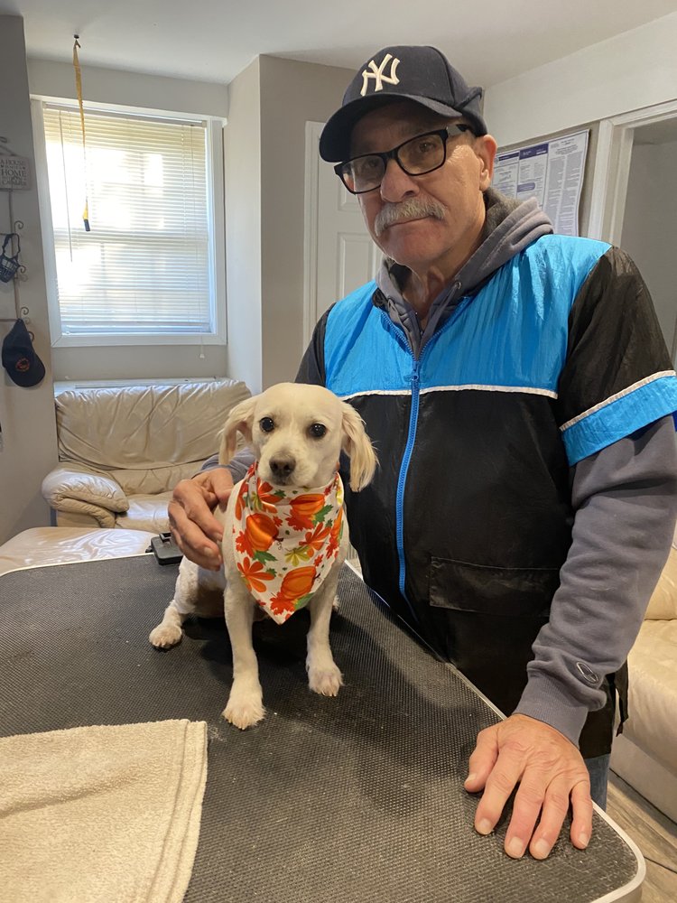 R D DOGGIE DOOS Updated September 2024 75 Photos & 29 Reviews 362 Westchester Ave, Mount