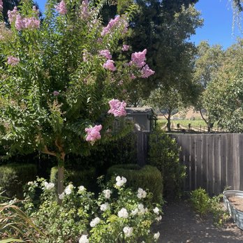 The Setting Inn - Hotels Near Me - Napa, California