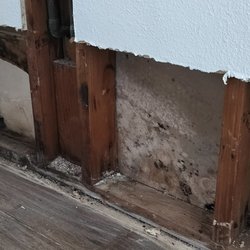 Pure Maintenance Arizona - Pipe Leak