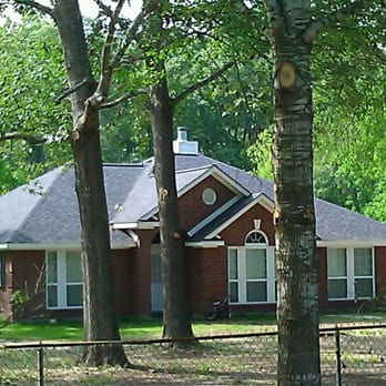 TNT Tree Service - Tip:This is how good it look's when you have a lot of tree's and raise all of them to same level. - Tree Services Near Me - Kingwood, Texas