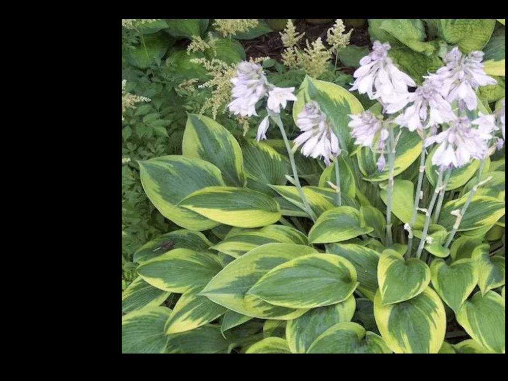 RIVERDALE NURSERY Updated September 2024 13 Photos 72 Braswell Rd