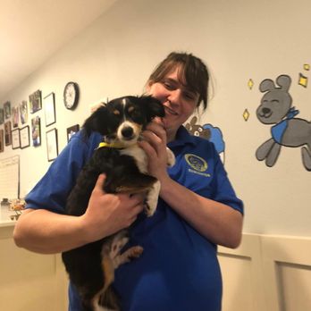 Suite Dog Daze - Joey with his first trainer - Pet Groomers Near Me - Salem, Oregon