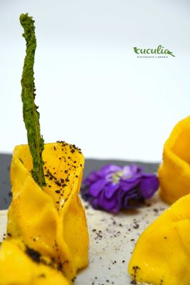 Cuculia by null