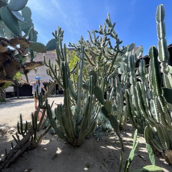 Olvera Street - Courtyard at the Adobe - Local Flavor Near Me - Los Angeles, California