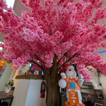 Boba Tea Top - Cherry blossom decor - Bubble Tea Near Me - El Paso, Texas Boba Tea Top - Cherry blossom decor - Bubble Tea Near Me - El Paso, Texas