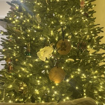 McGrath Veterinary Center - Xmas tree with blue and peppers paw ornaments - Veterinarians Near Me - Sherman Oaks, California McGrath Veterinary Center - Xmas tree with blue and peppers paw ornaments - Veterinarians Near Me - Sherman Oaks, California
