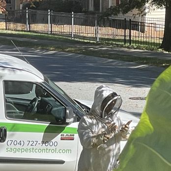 Sage Pest Control - Charlotte - Showing pictures of inside of nest. - Pest Control Near Me - Charlotte, North Carolina