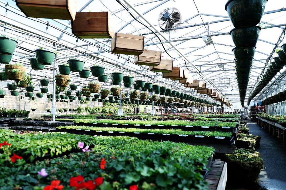 LITTLE MOUNTAIN Updated September 2024 47558 Yale Road East, Chilliwack, British Columbia