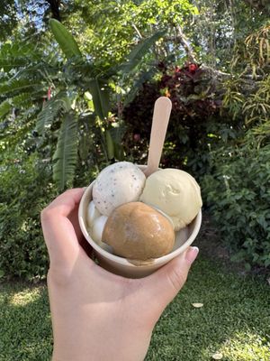 Daintree Ice Cream Company by null
