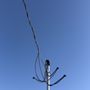 Photo of Prime Voltage Electric