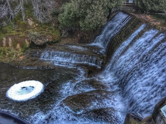 Belfountain Conservation Area by null