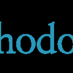 Erin Diamantakis - Brush Hollow Orthodontics - Logo