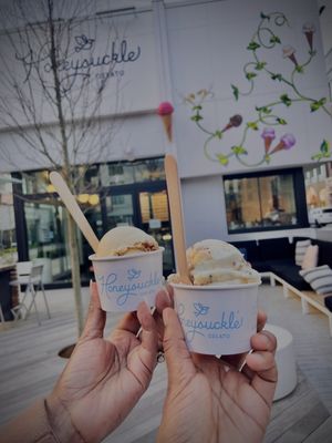 Honeysuckle Gelato Fenton by null