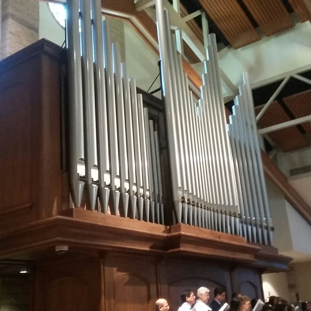 St Martha Catholic Church - Pretty pipe organ behind the choir. - Churches Near Me - Murrieta, California St Martha Catholic Church - Pretty pipe organ behind the choir. - Churches Near Me - Murrieta, California
