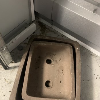West Coast Self Storage - Mouse poop in my storage units - Self Storage Near Me - Santa Clara, California West Coast Self Storage - Mouse poop in my storage units - Self Storage Near Me - Santa Clara, California
