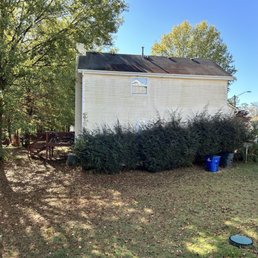 Bushes are covering the 1st floor window. Bushes are covering the 1st floor window.